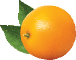 Скачать PNG картинку на прозрачном фоне Апельсин нарисованный с двумя листьями