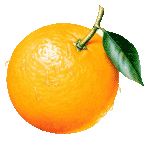 Скачать PNG картинку на прозрачном фоне Апельсин нарисованный, с листиком и капельками, вид сверху