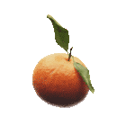 Скачать PNG картинку на прозрачном фоне Апельсин, с двумя листьями