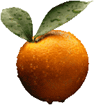 Скачать PNG картинку на прозрачном фоне Апельсин с каплями воды, с двумя листиками
