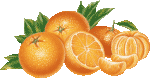Скачать PNG картинку на прозрачном фоне Апельсины нарисованные, очищенные с половиной и дольками