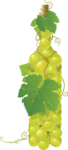 Скачать PNG картинку на прозрачном фоне Белый нарисованный виноград в виде бутылки
