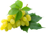 Скачать PNG картинку на прозрачном фоне Белый виноград, гродь, с листьями