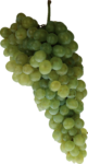 Скачать PNG картинку на прозрачном фоне Белый виноград, гроздь