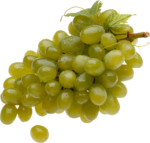Скачать PNG картинку на прозрачном фоне Белый виноград, гроздь, отдельно виноградинка