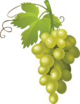 Скачать PNG картинку на прозрачном фоне Белый виноград с листом