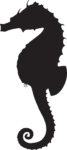 Скачать PNG картинку на прозрачном фоне Черный силуэт морского конька