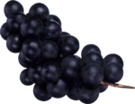 Скачать PNG картинку на прозрачном фоне Черный виноград