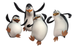 Скачать PNG картинку на прозрачном фоне Четыре пингвина из мультфильма Мадагаскар