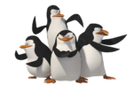 Скачать PNG картинку на прозрачном фоне Четыре пингвина рядом в стойке