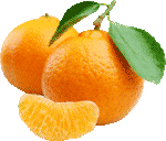 Скачать PNG картинку на прозрачном фоне Два апельсина с долькой и листьями