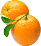 Скачать PNG картинку на прозрачном фоне Два апельсина с листьями, вид сбоку