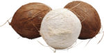 Скачать PNG картинку на прозрачном фоне Два коричневых и рядом белый кокос