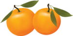 Скачать PNG картинку на прозрачном фоне Два нарисованные апельсина с листьями