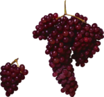 Скачать PNG картинку на прозрачном фоне Две грозди красного мелкого винограда