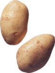 Скачать PNG картинку на прозрачном фоне Две картошки, картофель, вид сбоку