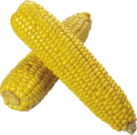 Скачать PNG картинку на прозрачном фоне Две кукурузы