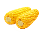 Скачать PNG картинку на прозрачном фоне Две кукурузы, вид спереди