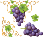 Скачать PNG картинку на прозрачном фоне Две нарисованные грозди фиолетового винограда