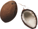 Скачать PNG картинку на прозрачном фоне Две половинки кокоса, вид сверху