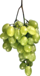 Скачать PNG картинку на прозрачном фоне Гроздь белого винограда, вид сверху