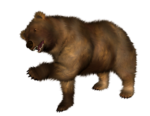 Скачать PNG картинку на прозрачном фоне Игровой медведь, бурый, делает замах лапой