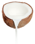 Скачать PNG картинку на прозрачном фоне Из половинки кокоса, вытекает кокосовое молоко