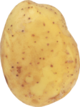 Скачать PNG картинку на прозрачном фоне Картошка, картофель