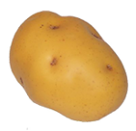 Скачать PNG картинку на прозрачном фоне Картошка, вид сбоку, картофель