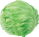 Скачать PNG картинку на прозрачном фоне Кочан обычной, зеленой, круглой капусты