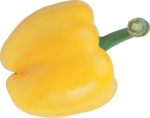 Скачать PNG картинку на прозрачном фоне Короткий, желтый болгарский перец
