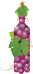 Скачать PNG картинку на прозрачном фоне Красный нарисованный виноград в виде бутылки