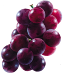 Скачать PNG картинку на прозрачном фоне Красный виноград