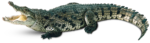 Скачать PNG картинку на прозрачном фоне Крокодил с открытой пастью смотрит влево