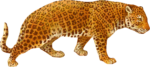 Скачать PNG картинку на прозрачном фоне Леопард с картинки, нарисованный, вид сбоку