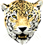 Скачать PNG картинку на прозрачном фоне Нарисованная голова леопарда, вид спереди