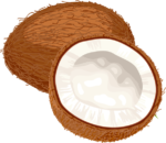 Скачать PNG картинку на прозрачном фоне Нарисованная половина кокоса рядом с целым