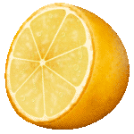 Скачать PNG картинку на прозрачном фоне Нарисованная половинка апельсина, вид сбоку