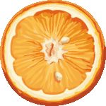 Скачать PNG картинку на прозрачном фоне Нарисованная половинка апельсина, вид сверху