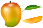Скачать PNG картинку на прозрачном фоне Нарисованное манго, с кусочком и листом