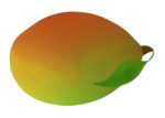 Скачать PNG картинку на прозрачном фоне Нарисованное зелено-красное манго
