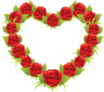 Скачать PNG картинку на прозрачном фоне Нарисованные розы в виде сердца
