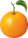Скачать PNG картинку на прозрачном фоне Нарисованный апельсин с веточкой и листом, вид сбоку