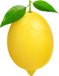 Скачать PNG картинку на прозрачном фоне Нарисованный лимон с листьями, вид сбоку
