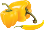 Скачать PNG картинку на прозрачном фоне Нарисованный желтый болгарский перец с желтым перцем чили