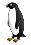 Скачать PNG картинку на прозрачном фоне Пингвин нарисованный стоит боком