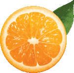 Скачать PNG картинку на прозрачном фоне Половина апельсина, с листиком, вид сверху