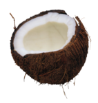 Скачать PNG картинку на прозрачном фоне Половина кокоса, вид сбоку