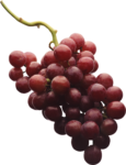 Скачать PNG картинку на прозрачном фоне Розовый виноград, кисть, гроздь