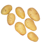 Скачать PNG картинку на прозрачном фоне Семь картошек, картофель